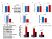 Figure 3—figure supplement 1.