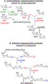 Scheme 6.