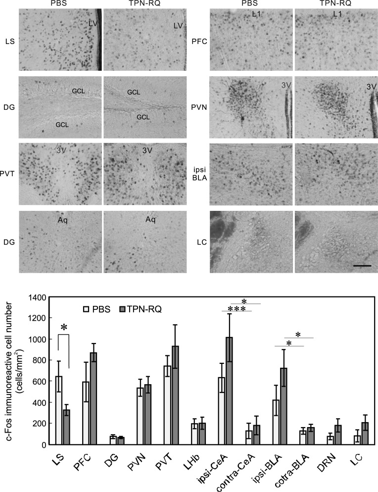 Fig 8