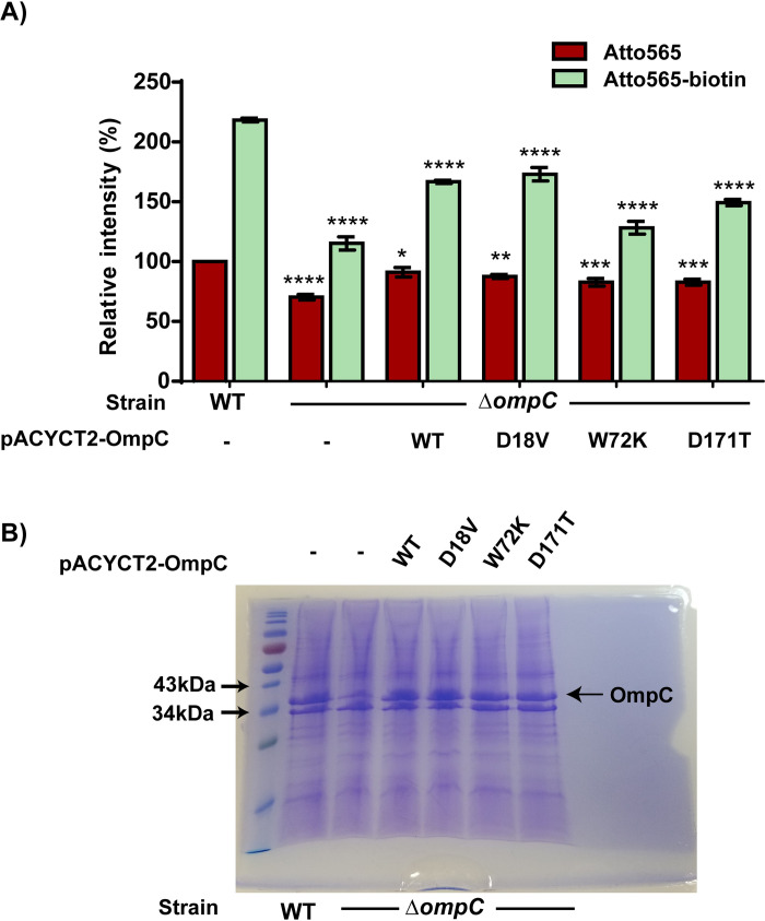 Fig 6