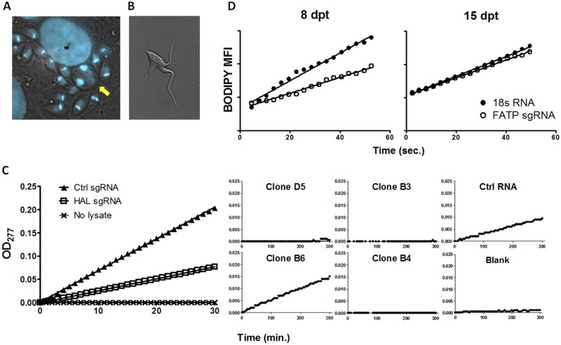 FIG 2 