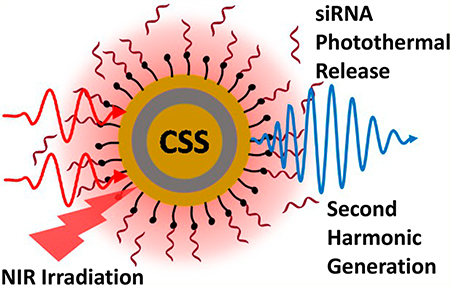 graphic file with name nihms-1001417-f0009.jpg