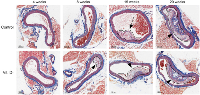 Figure 2