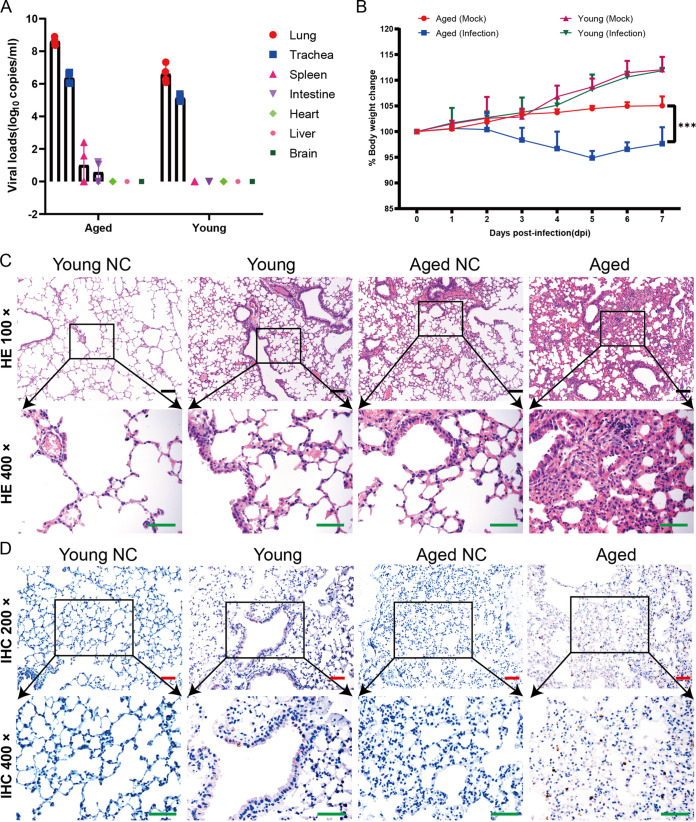 FIG 10