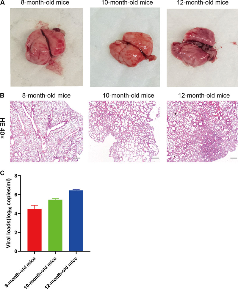 FIG 3