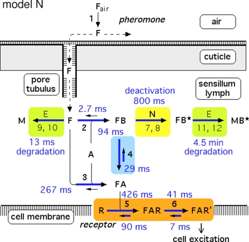 Fig. 14