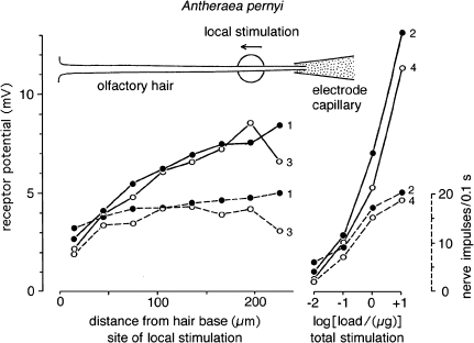 Fig. 13