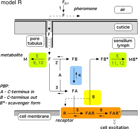 Fig. 3