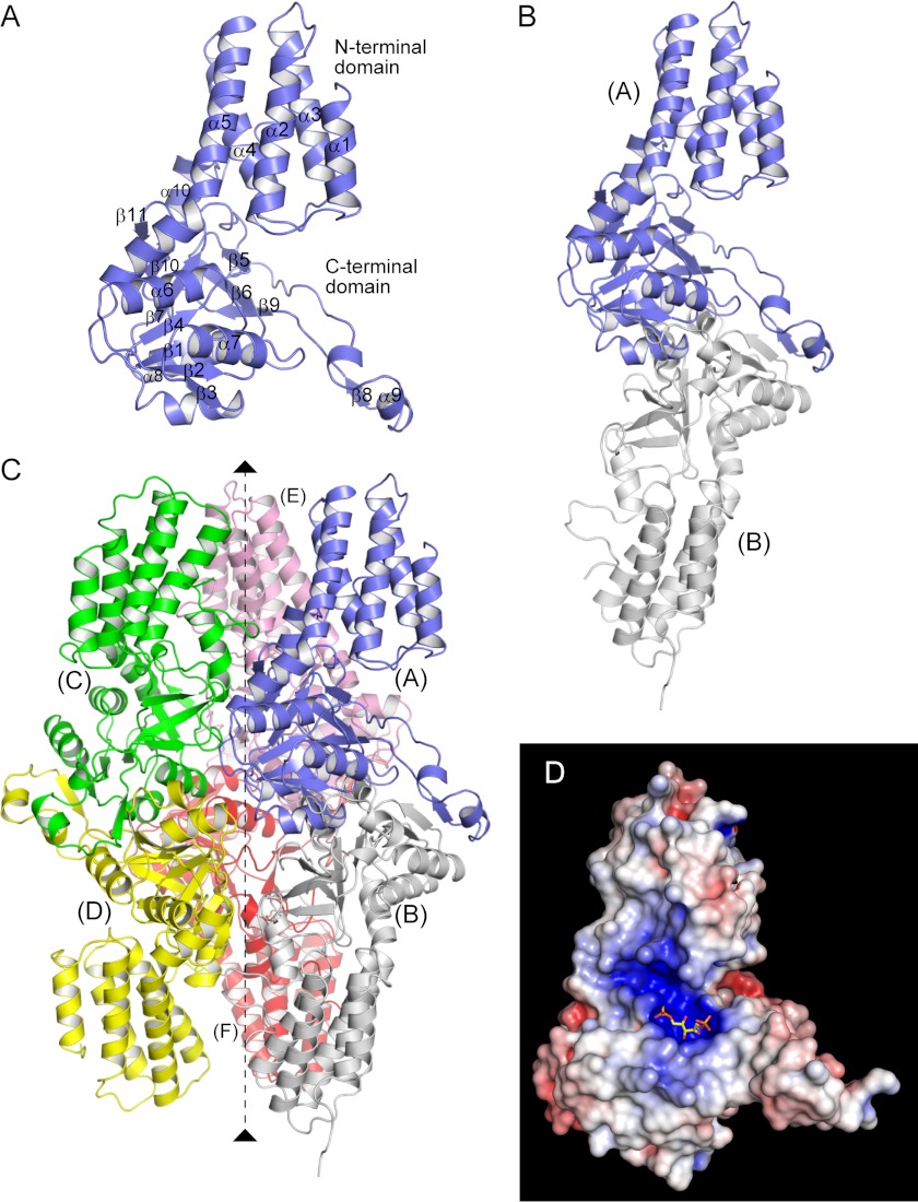 FIGURE 2.