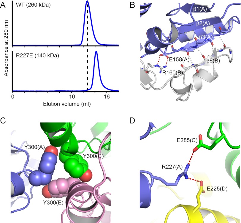 FIGURE 3.