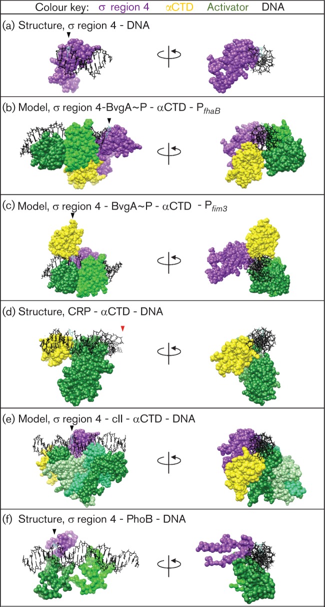 Fig. 3. 