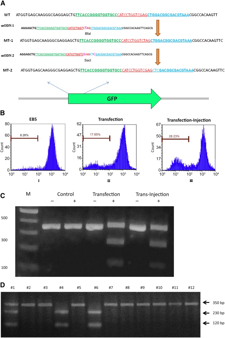 Figure 4.