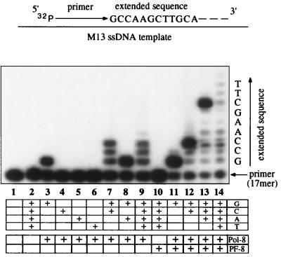 FIG. 6