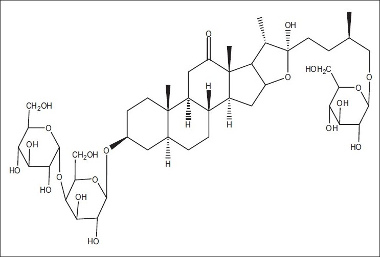 Figure 13