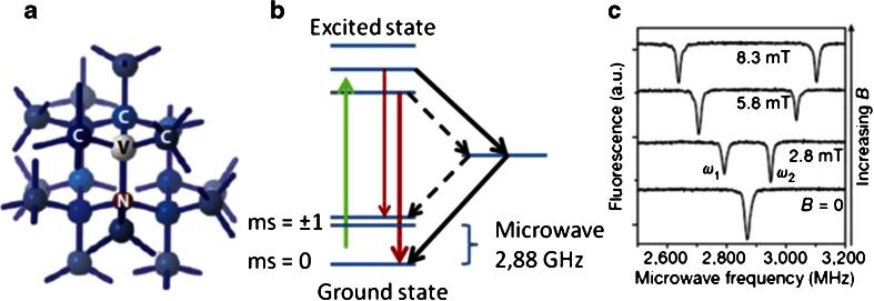 Fig. 5