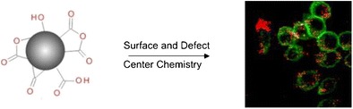 Graphical Abstract