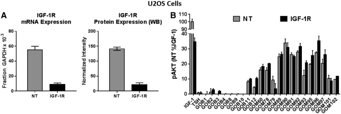 FIG. 4.