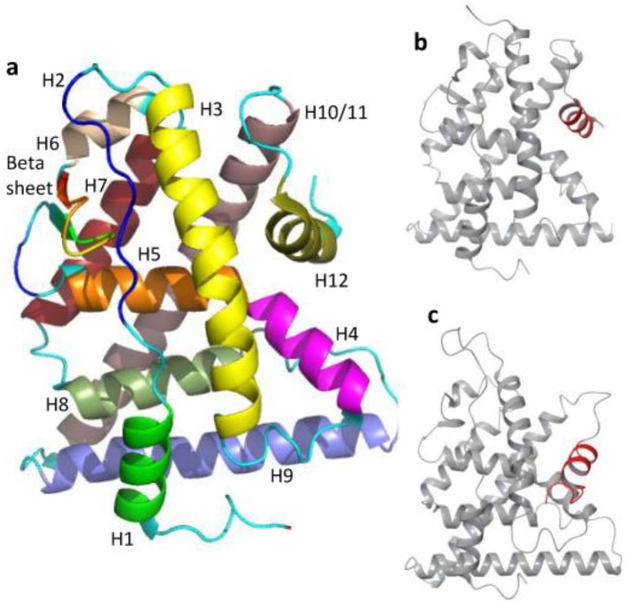 Figure 4