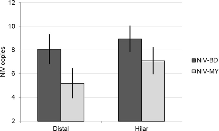 Fig 4