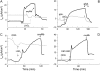 <b>Figure 4.</b>