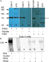 <b>Figure 10.</b>