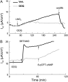 <b>Figure 2.</b>