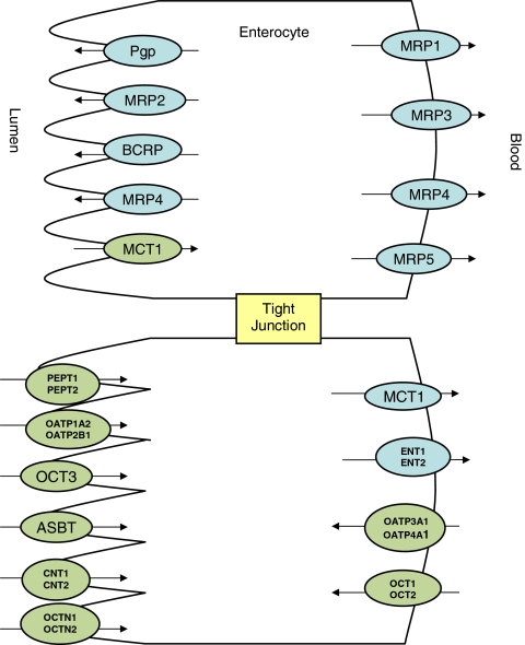 Fig. 1