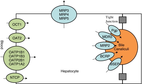 Fig. 2