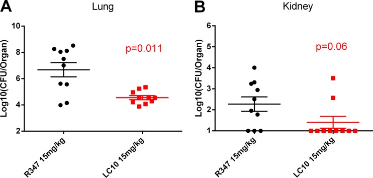 FIG 3