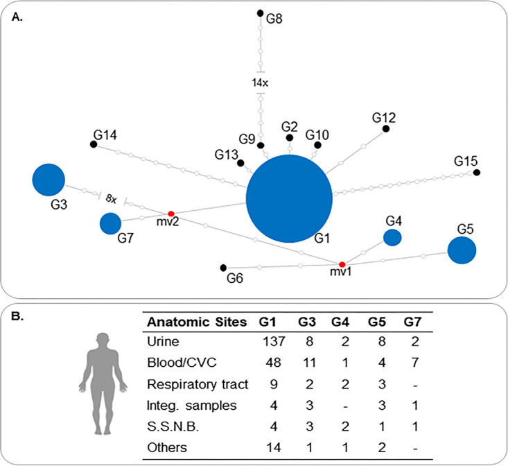 FIG 1