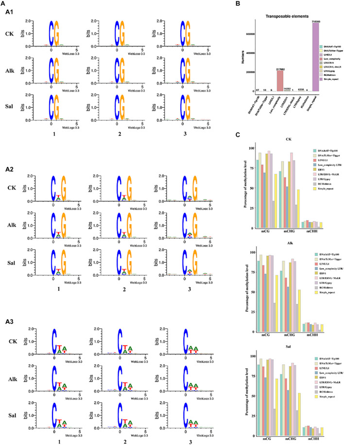 FIGURE 3