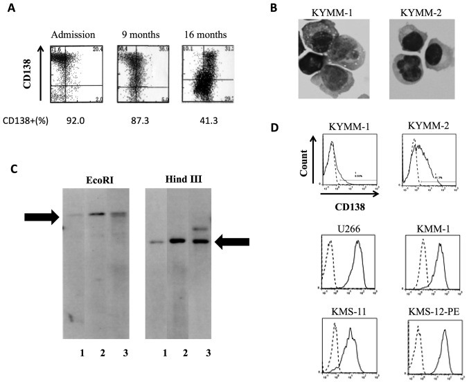 Figure 2