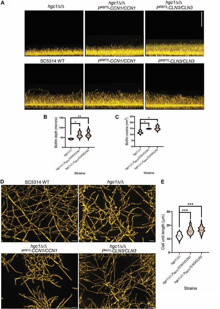 FIG 6