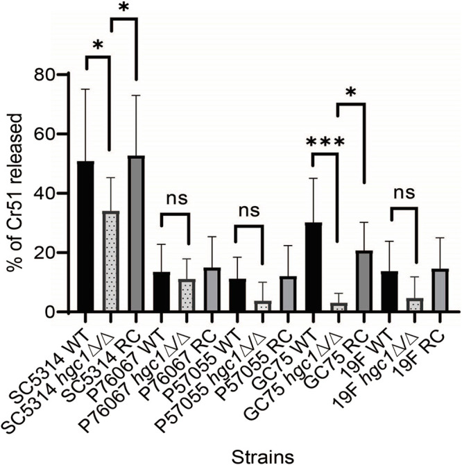 FIG 2