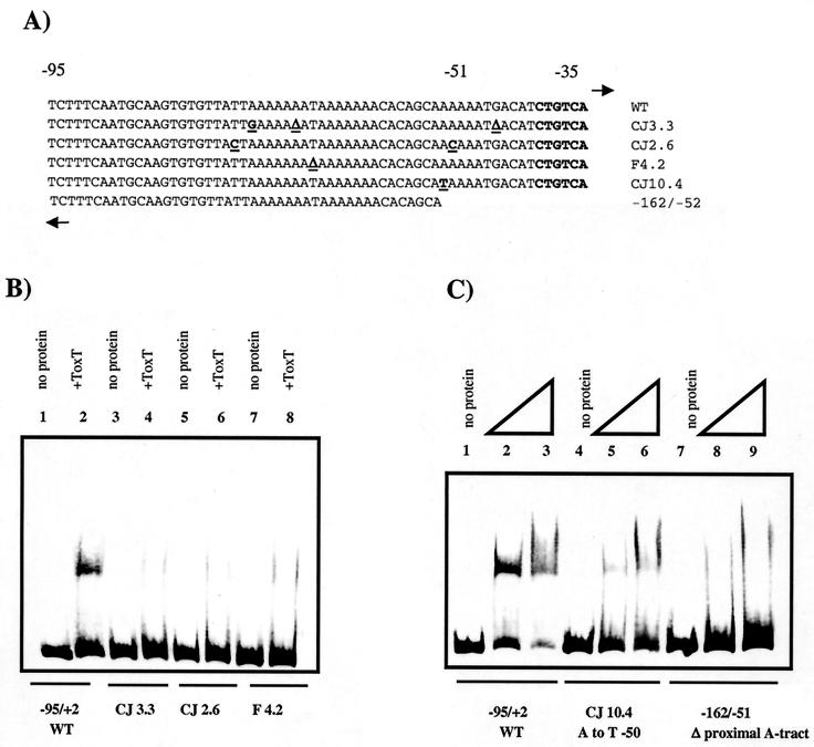 FIG. 6.