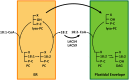 Figure 10.