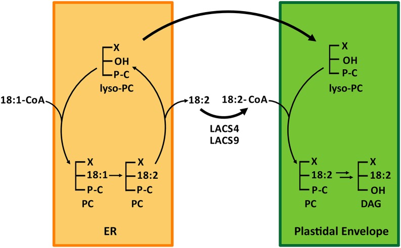 Figure 10.