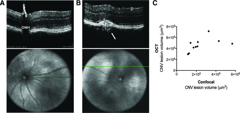 FIG. 6.