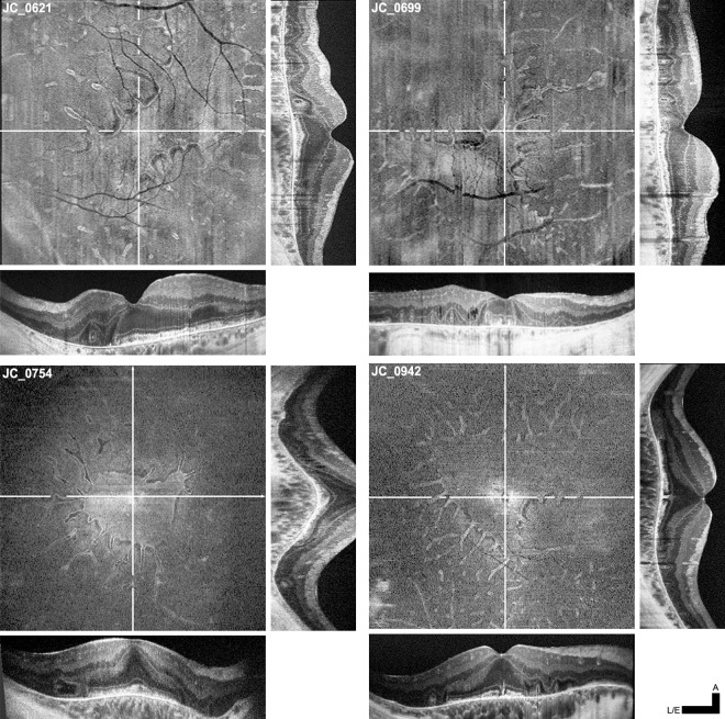 Fig 6