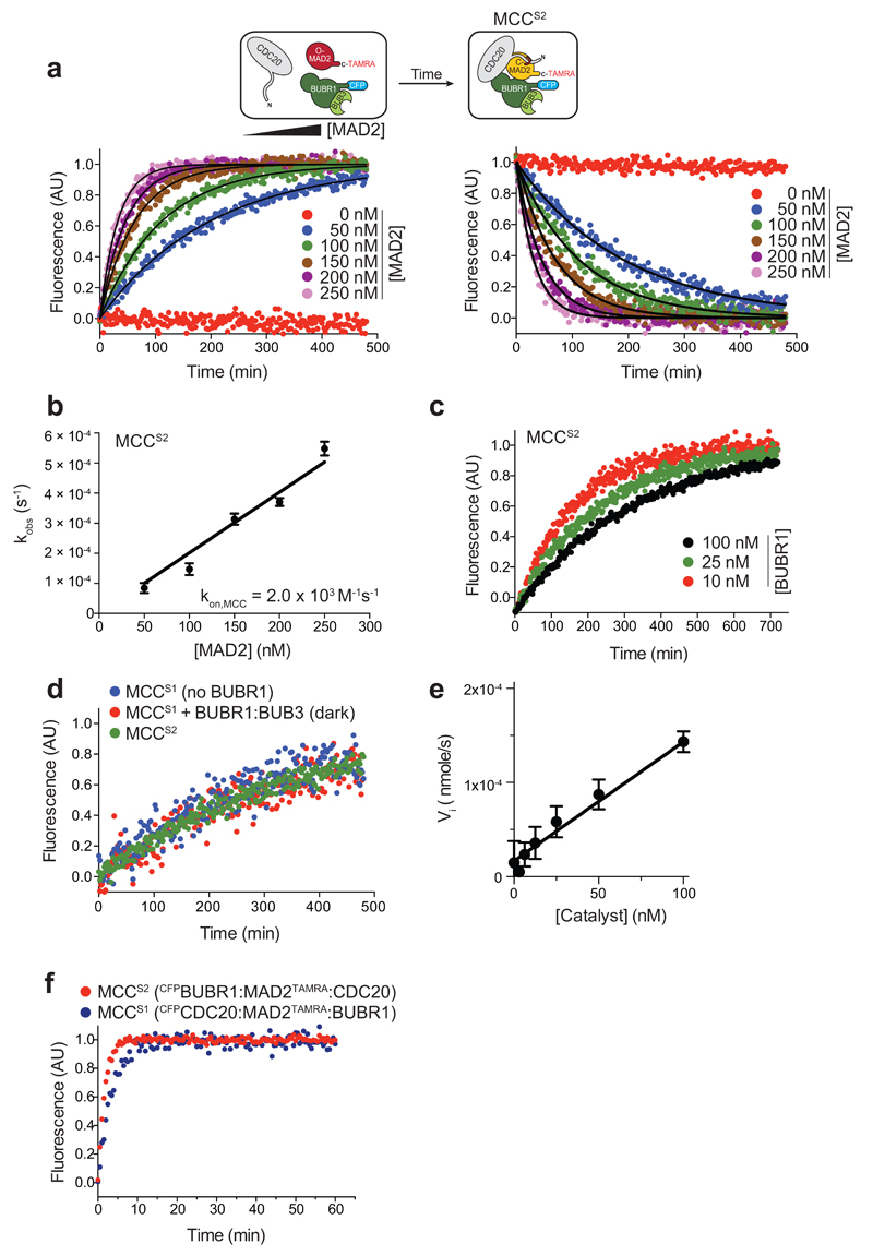 Extended Data Figure 4