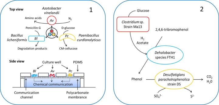 Fig. C