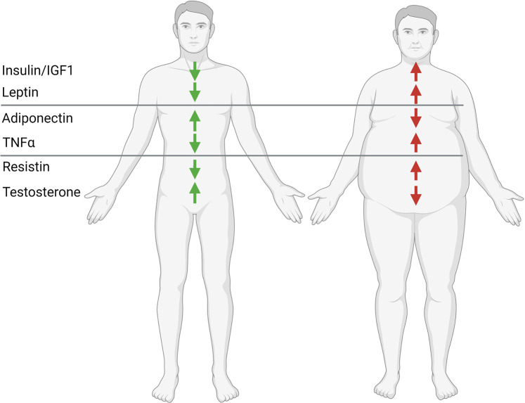 Figure 4.