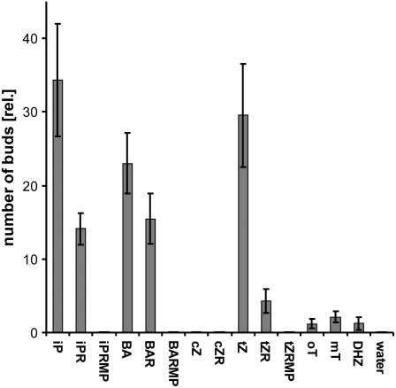 Figure 5.