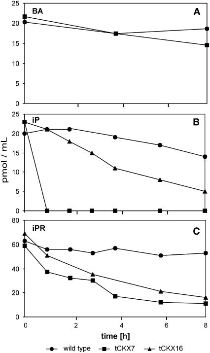 Figure 2.