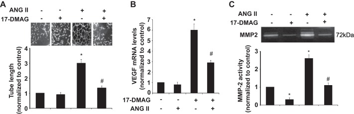 Fig. 8.