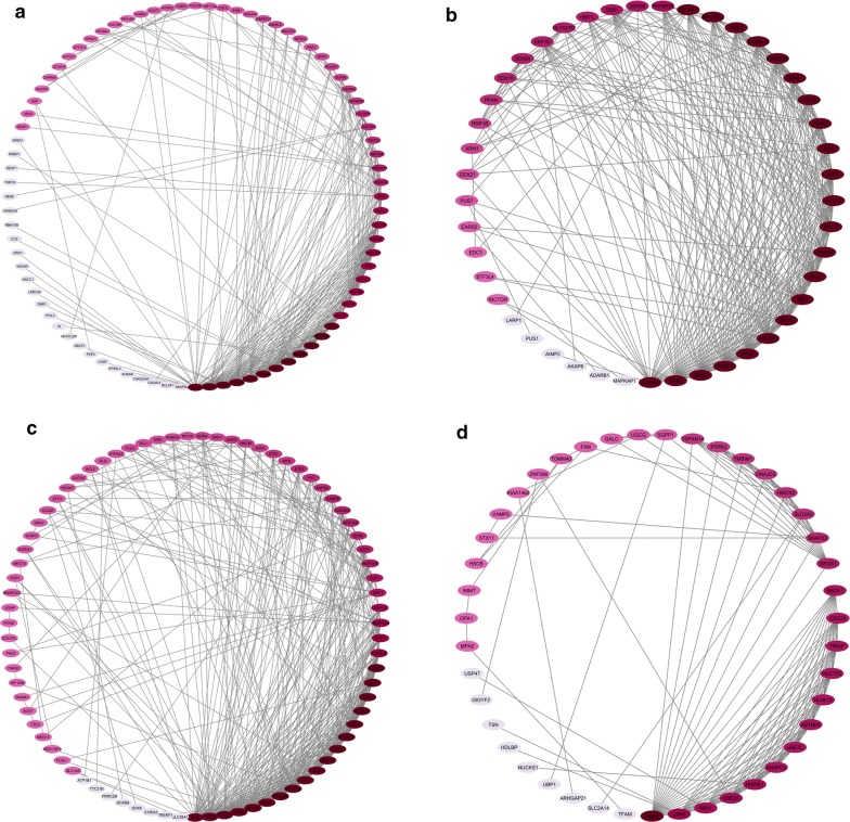 Fig. 2