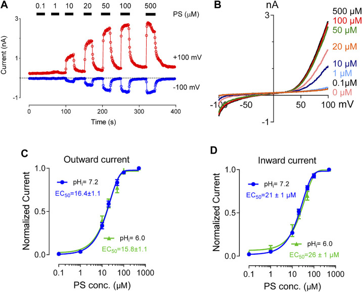 FIGURE 3