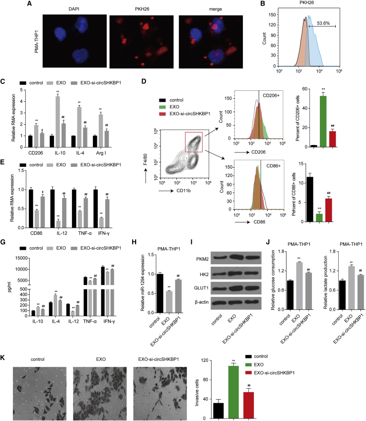 Figure 6