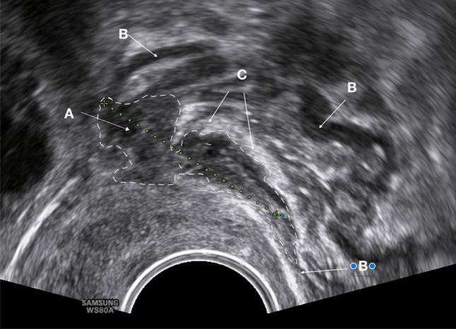 Fig. 7