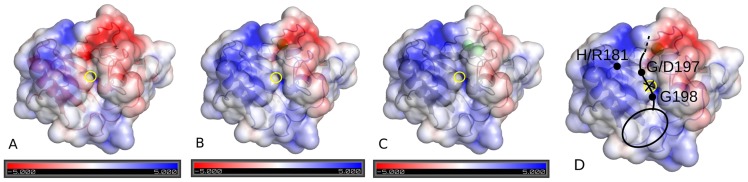 Figure 9